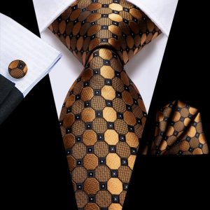 Hi-Tie Cravate Soie Mariage Hommes Paisley
